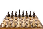 Classic chess and backgammon set - chess pieces set up for play