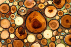 Backgammon Board - Natural Branch & Turquoise Epoxy Design - Unumperfectus