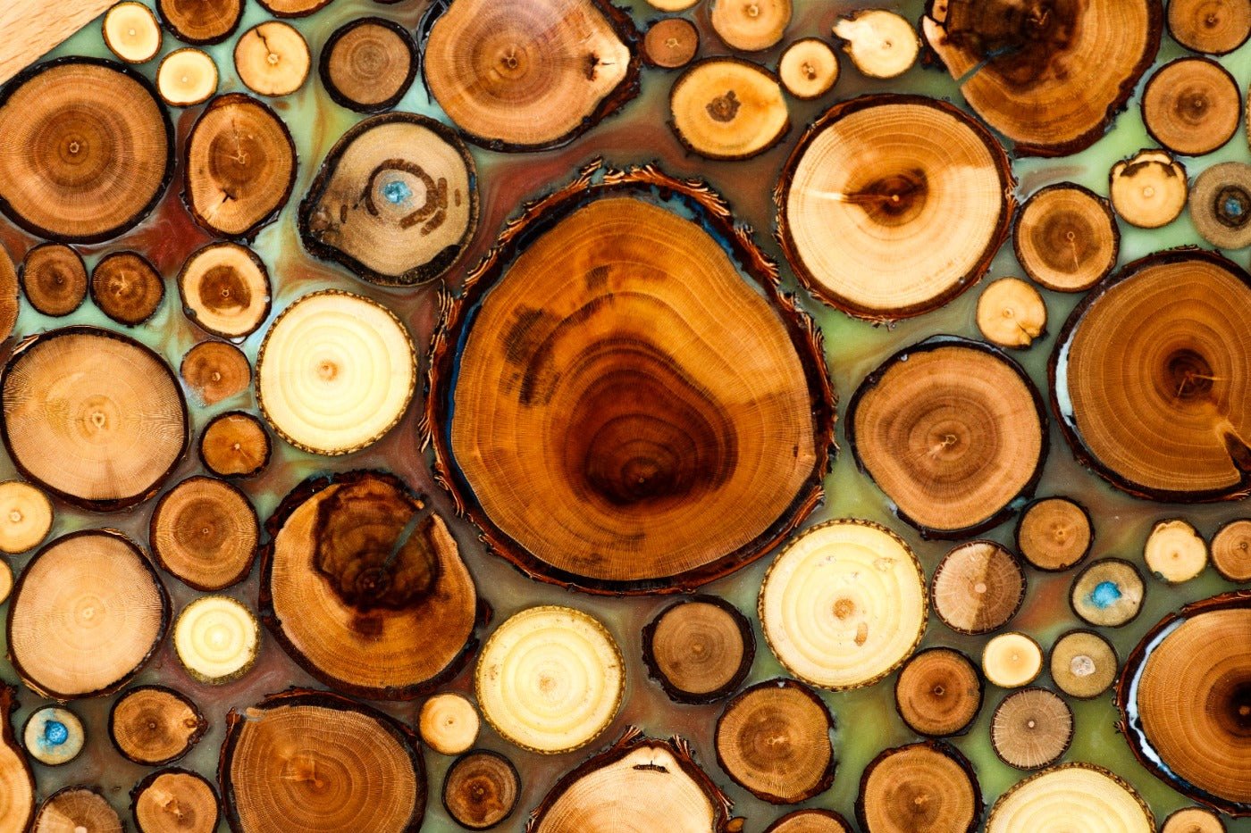 Backgammon Board - Natural Branch & Turquoise Epoxy Design - Unumperfectus